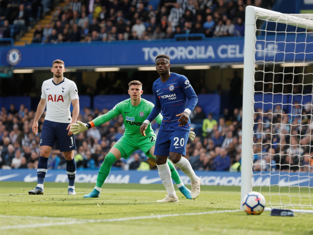 主教练瓜迪 主教练瓜迪