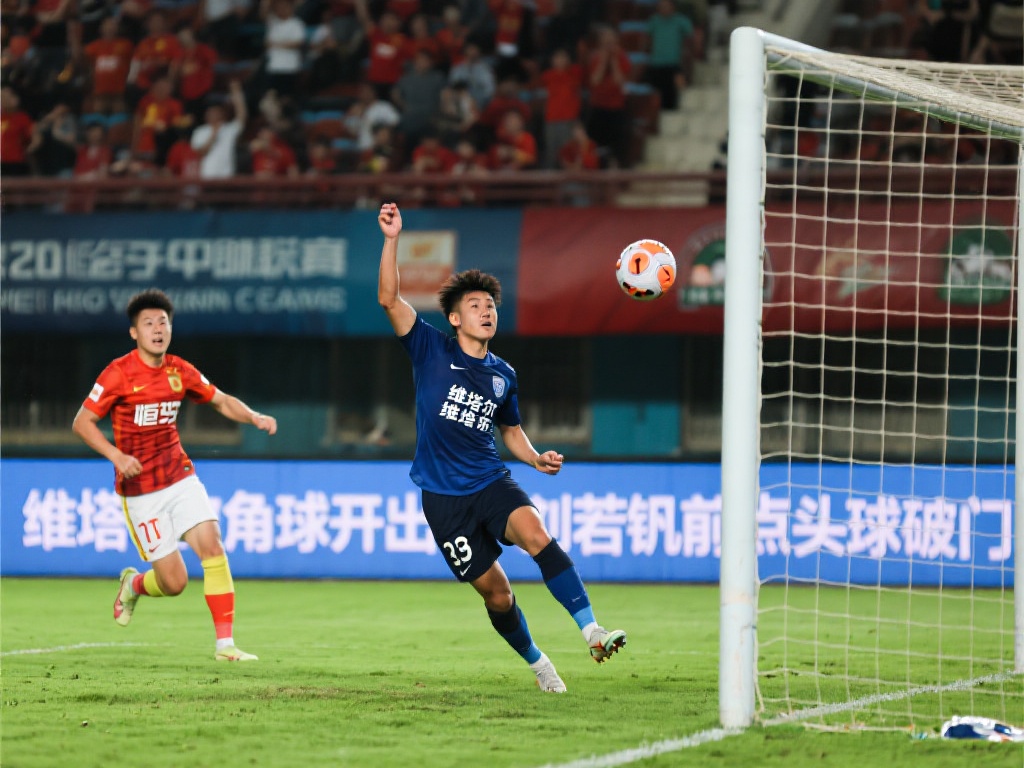 终决定放走 终决定放走